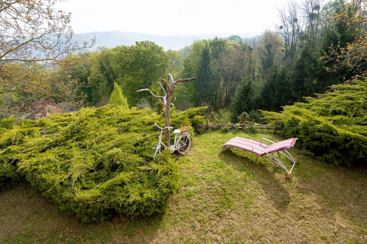 Apartment Villa Ema Krapinske Toplice Bagian luar foto