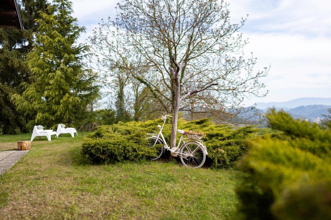 Apartment Villa Ema Krapinske Toplice Bagian luar foto